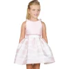 Amaya 513045SM Pink Dress with Top Sale