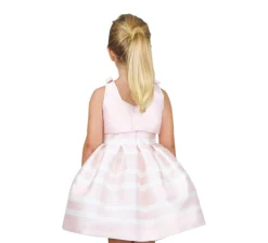 Amaya 513045SM Pink Dress with Top Sale