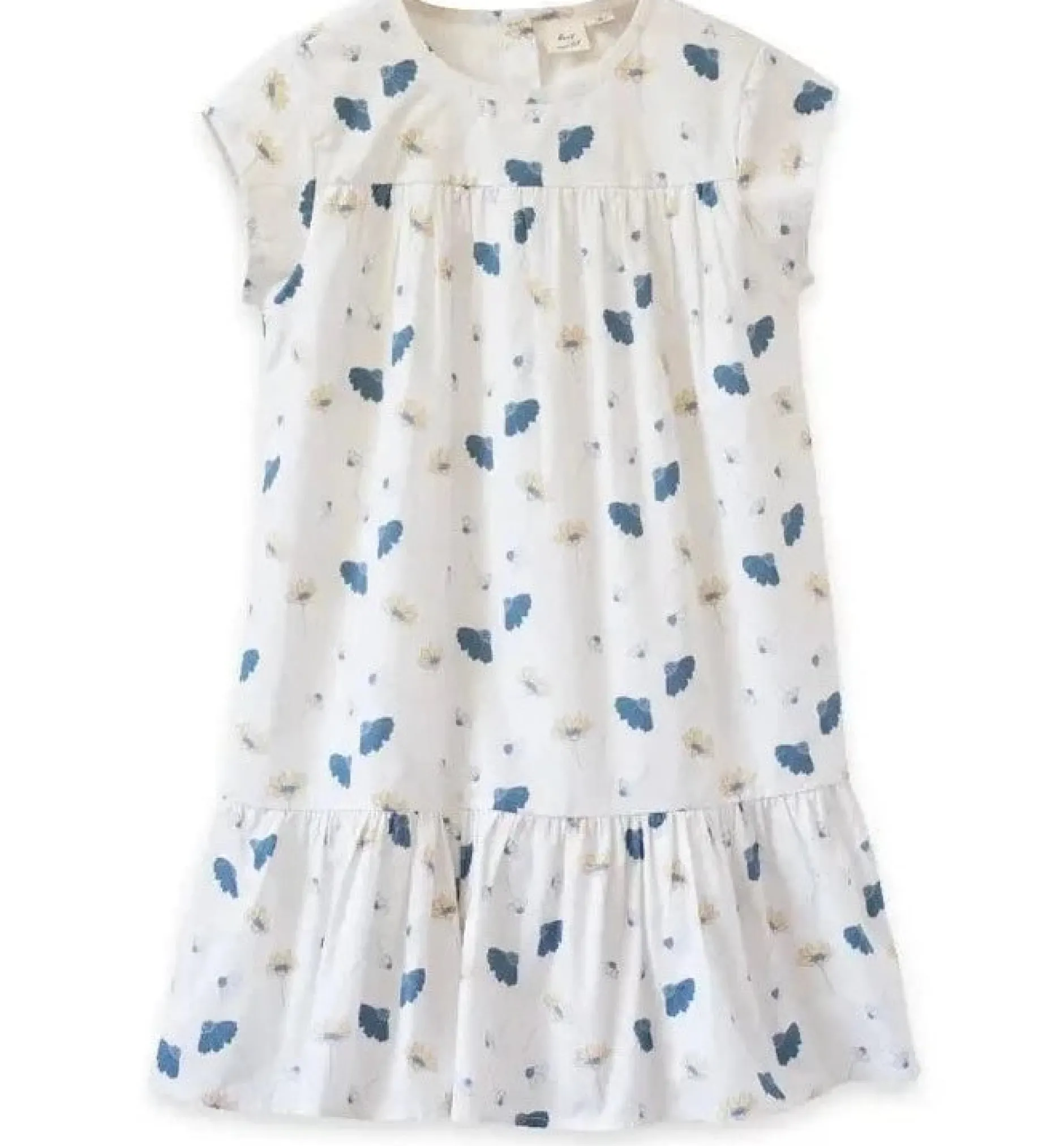 Beet World Molly Dress, Blue Floral Sale