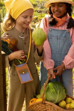 Sticky Lemon XL Farmhouse Phone Pouch, Harvest Moon New